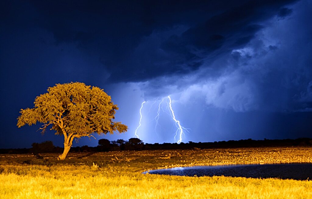 noctourism namibia etosha