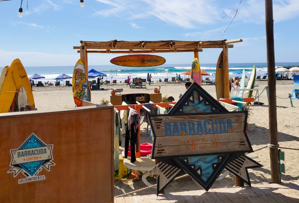 Playa Los Cerritos Surf, Baja Mexico