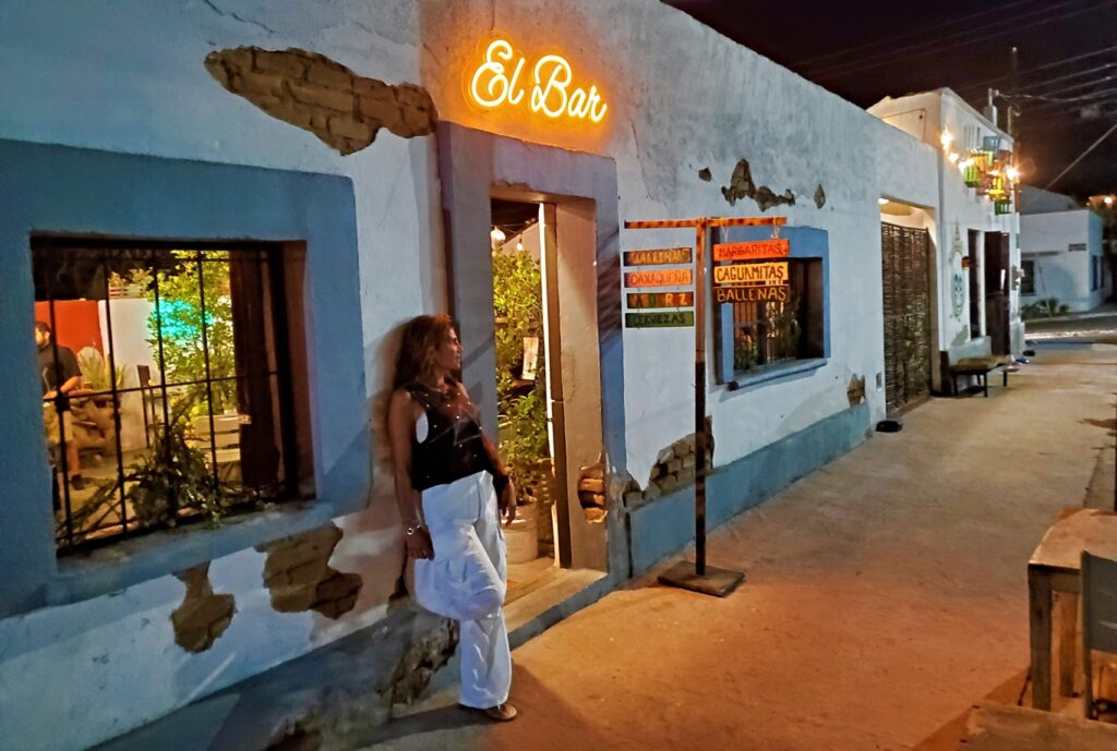 Travel Guide to La Paz Mexico BCS